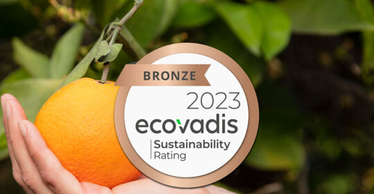 Citrusmade towards a more sustainable future: the company’s commitment for 2023