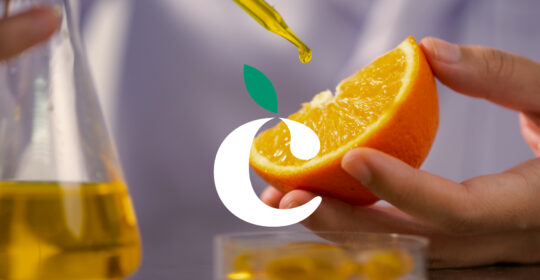 Behind the scenes of Citrusmade: where quality takes shape